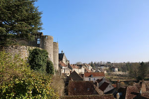 Traitement punaises de lit Bourgoin-Jallieu